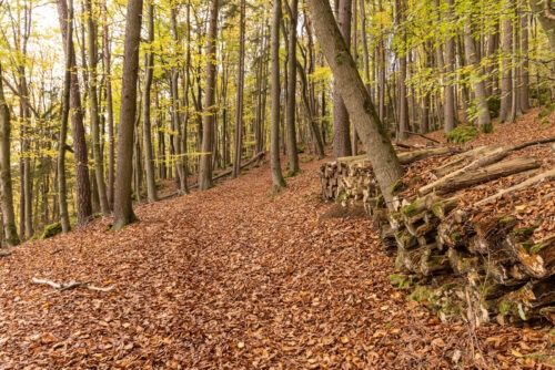 Windburg Wanderung - Eine Idyllische Aussicht bei Schlossberg 29 Windburg Wanderung - Eine Idyllische Aussicht bei Schlossberg 19