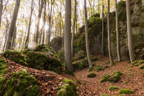 Windburg Wanderung - Eine Idyllische Aussicht bei Schlossberg 31 Windburg Wanderung - Eine Idyllische Aussicht bei Schlossberg 21