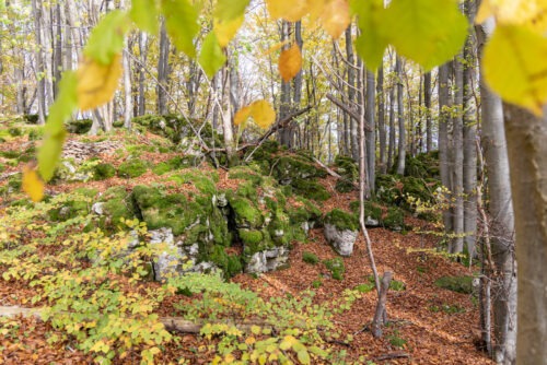 Windburg Wanderung - Eine Idyllische Aussicht bei Schlossberg 10 Windburg Wanderung - Eine Idyllische Aussicht bei Schlossberg 2