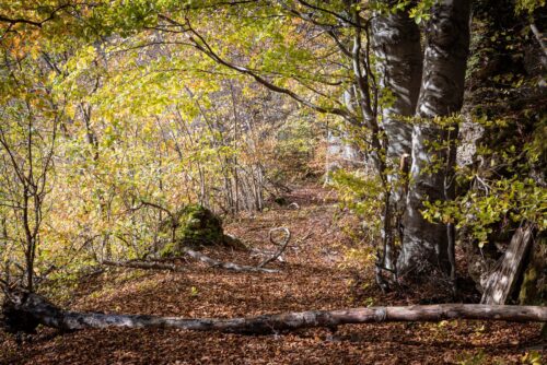 Windburg Wanderung - Eine Idyllische Aussicht bei Schlossberg 11 Windburg Wanderung - Eine Idyllische Aussicht bei Schlossberg 3
