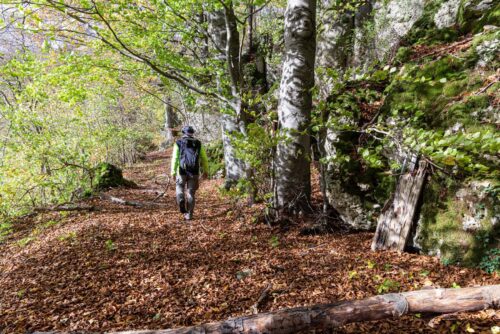 Windburg Wanderung - Eine Idyllische Aussicht bei Schlossberg 12 Windburg Wanderung - Eine Idyllische Aussicht bei Schlossberg 4