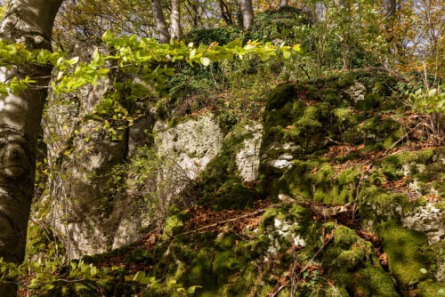 Windburg Wanderung - Eine Idyllische Aussicht bei Schlossberg 14 Windburg Wanderung - Eine Idyllische Aussicht bei Schlossberg 6