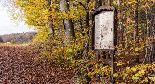 Windburg Wanderung - Eine Idyllische Aussicht bei Schlossberg 15 Windburg Wanderung - Eine Idyllische Aussicht bei Schlossberg 7