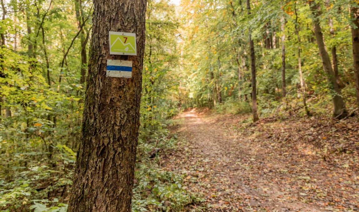 Wanderungen mit Einkehr in Oberfranken 7 Hohenstein Wanderung