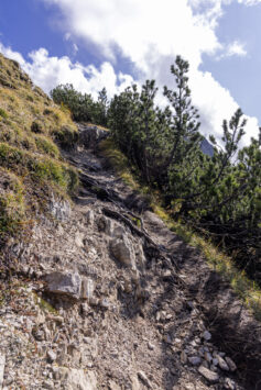 Wanderung von der Rosshütte zur Seefeld Spitze 15 Wanderung von der Rosshütte zur Seefeld Spitze 12