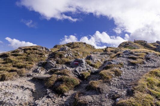 Wanderung von der Rosshütte zur Seefeld Spitze 13 Wanderung von der Rosshütte zur Seefeld Spitze 10