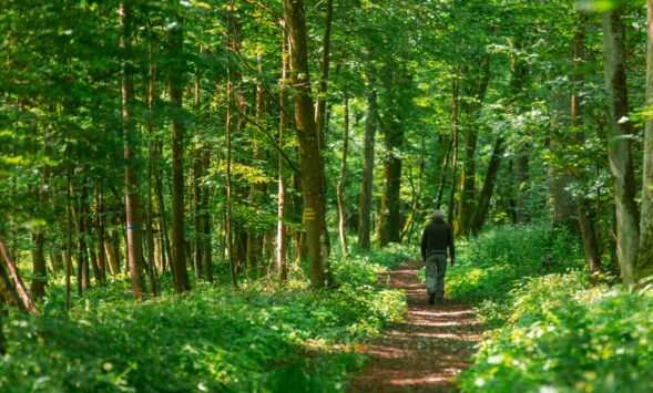 Urige Pfade beim Wanderweg Verwunschen-Verwunschen