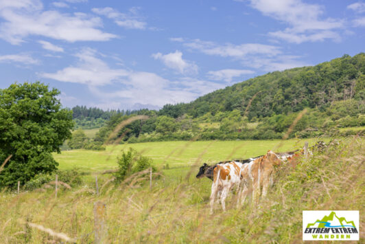 Bericht der 48h Extrem Extrem 2024 – Gemeinsam durch die schönste Region im Sauerland 153 Bericht der 48h Extrem Extrem 2024 – Gemeinsam durch die schönste Region im Sauerland 153