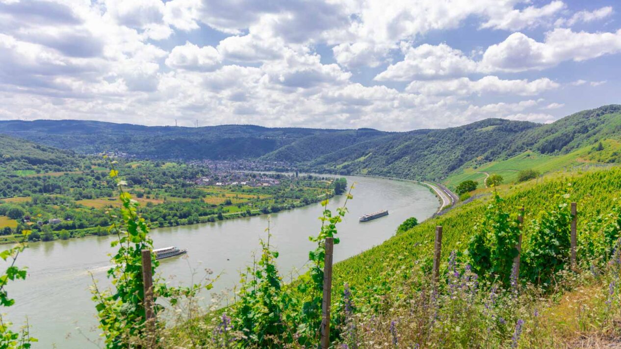 Traumpfad Rheingoldbogen - Waldzeit und traumhafte Aussichten 10