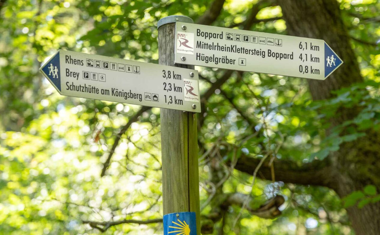 Wanderweg Rheingoldbogen