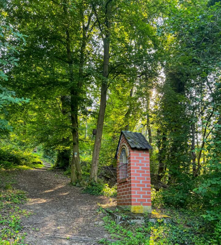 Erlebnis Rheinbogen - Die Charmante Region am Rhein 6