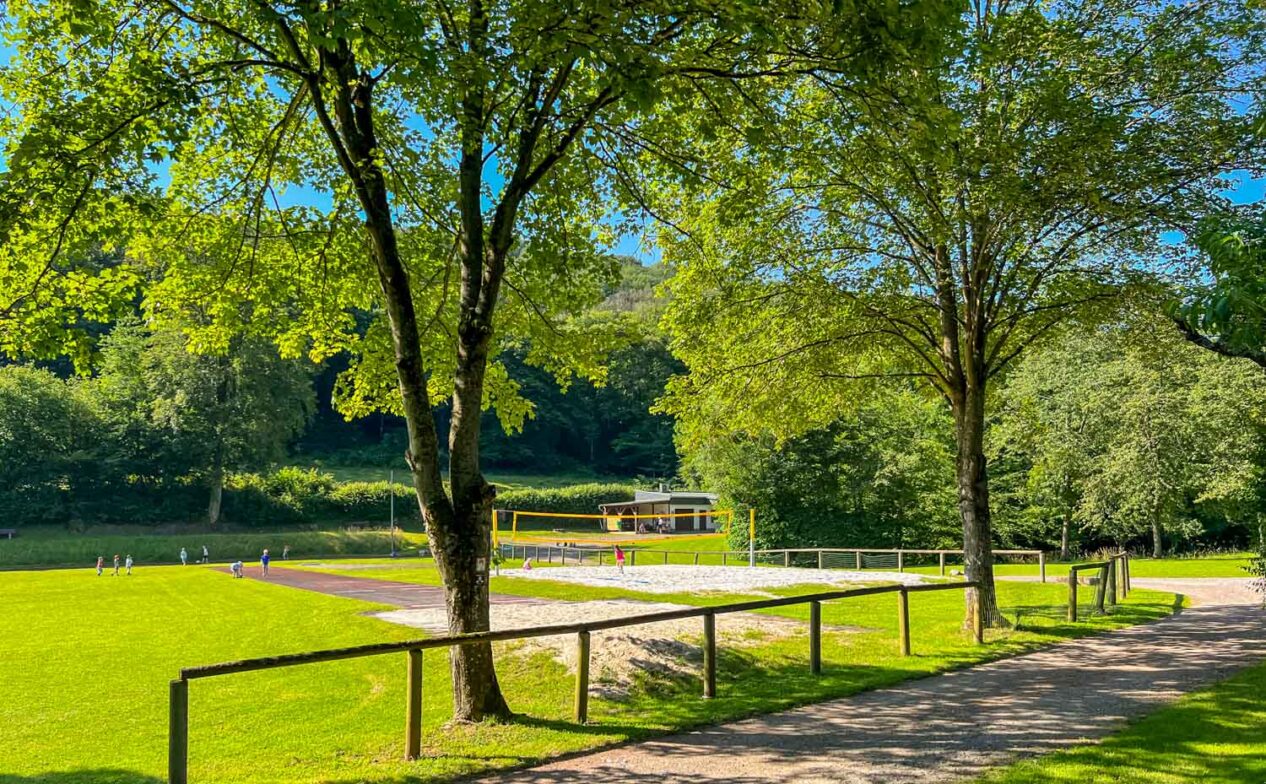 Traumpfad Rheingoldbogen - Waldzeit und traumhafte Aussichten 6