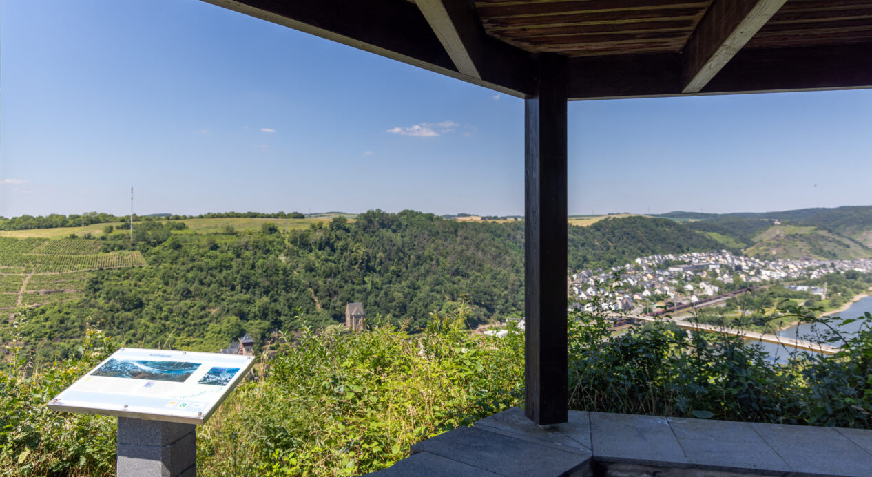 Sonnige Untermosel - Wein, Wald und Familienzeit