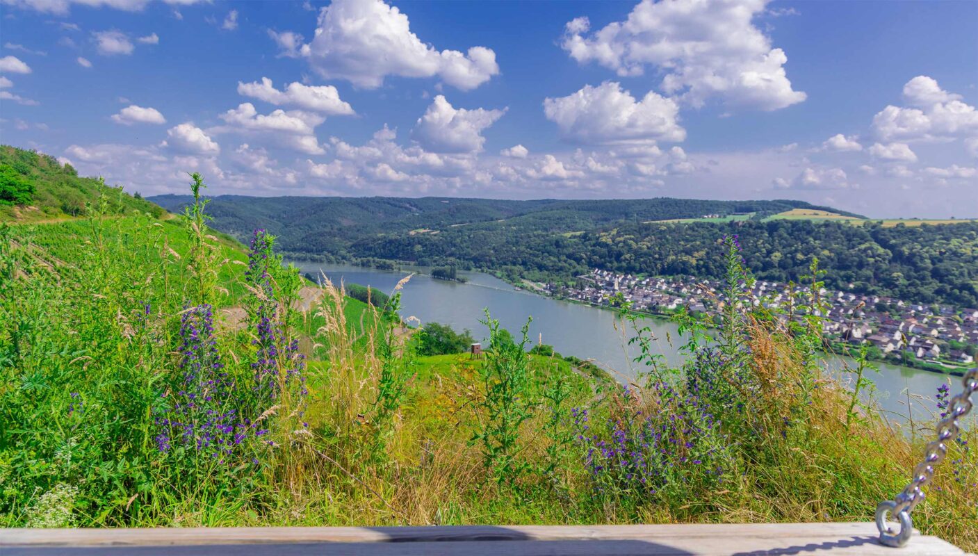 Erlebnis Rheinbogen - Die Charmante Region am Rhein 1