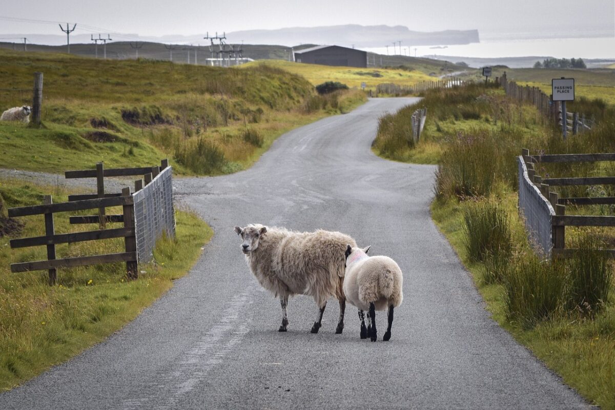 Der West Highland Way - ein Abenteuer in Schottland schönster Wildnis 2