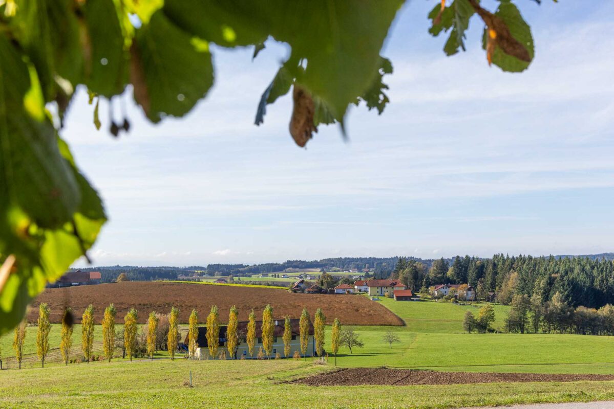 Vier Viertelblick