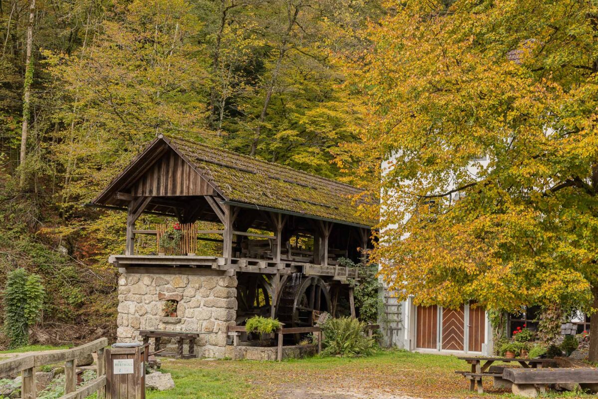 Die Stillensteinklamm - Kleine Klamm am Donausteig 1