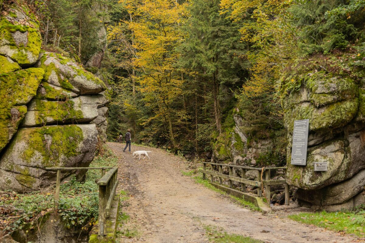 Eingang zur Klamm