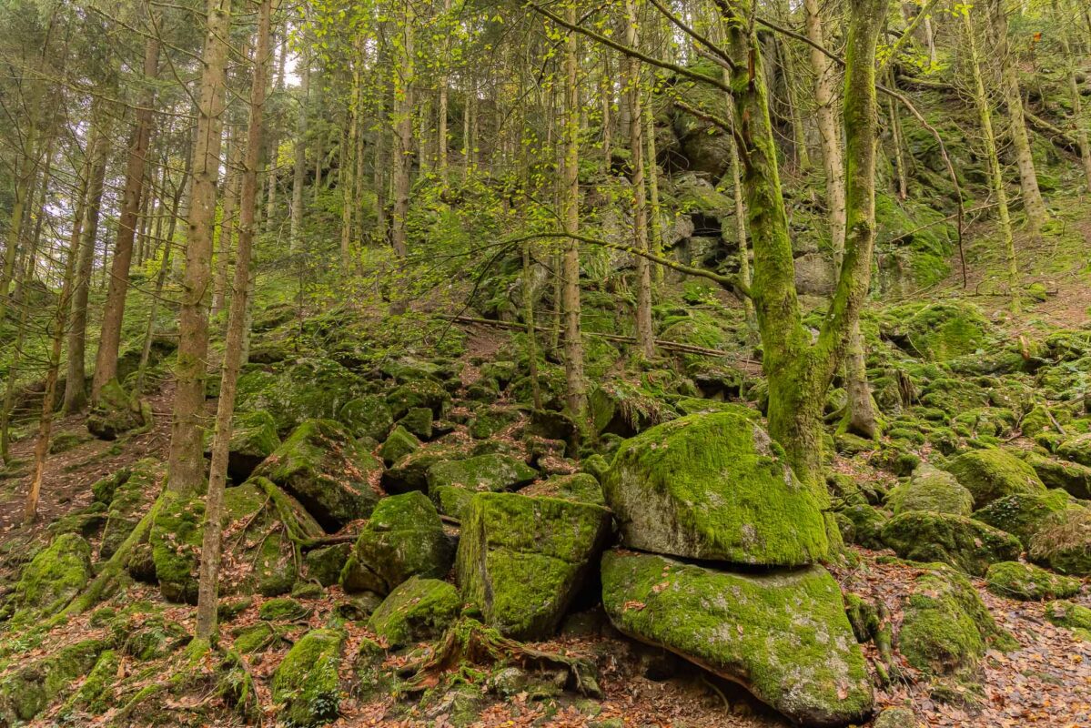 Die Stillensteinklamm - Kleine Klamm am Donausteig 2