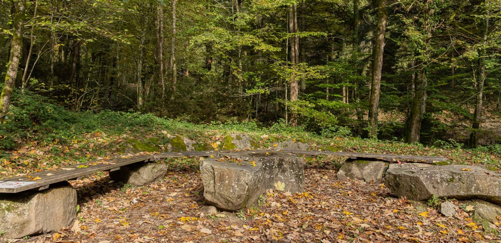 Die Stillensteinklamm - Kleine Klamm am Donausteig 4