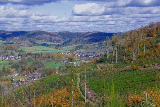 Lahnwanderweg Etappe 2 - Liaison aus Laubwald und Weiher 23 Lahnwanderweg Etappe 2 - Liaison aus Laubwald und Weiher 13