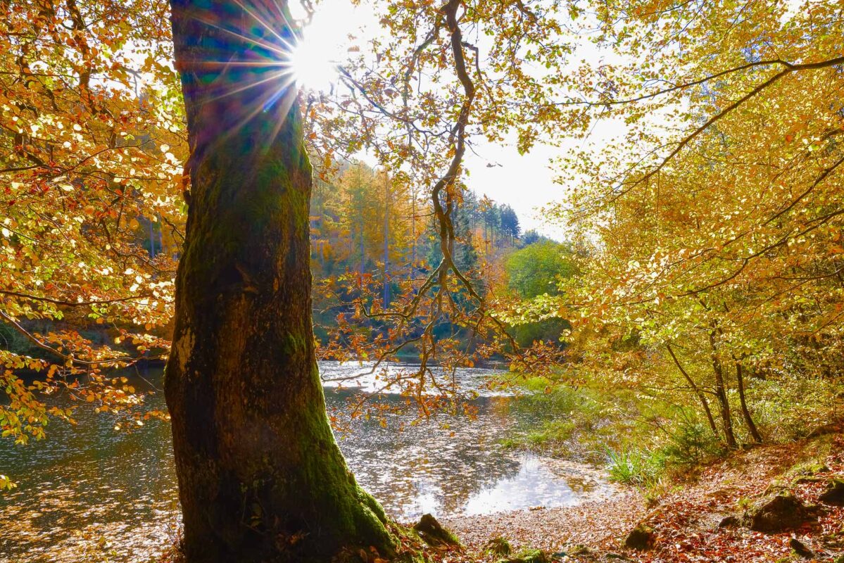 Lahnwanderweg Etappe 3 - Wald, Perf-Stausee und das Schloss Biedenkopf 1