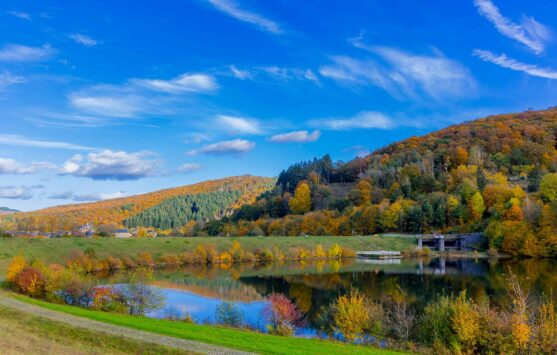 Lahnwanderweg Etappe 2 - Liaison aus Laubwald und Weiher 20 Lahnwanderweg