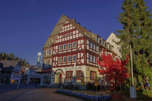 Lahnwanderweg Etappe 2 - Liaison aus Laubwald und Weiher 35 Lahnwanderweg in Bad Laasphe