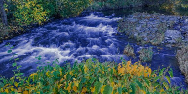Lahnwanderweg Etappe 2 - Liaison aus Laubwald und Weiher 38 Lahnwanderweg Etappe 2 - Liaison aus Laubwald und Weiher 23