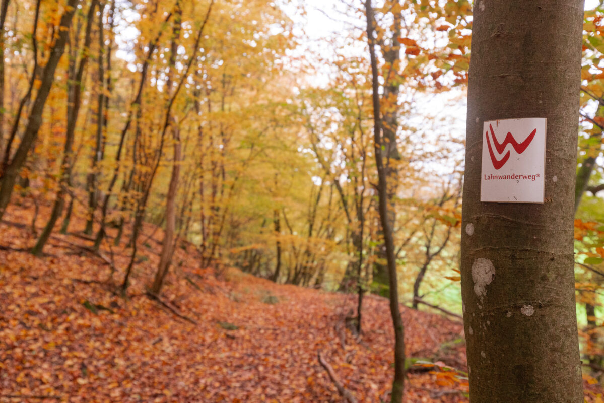 Lahnwanderweg Etappe 4 - Durch das wildromantische Katzenbachtal