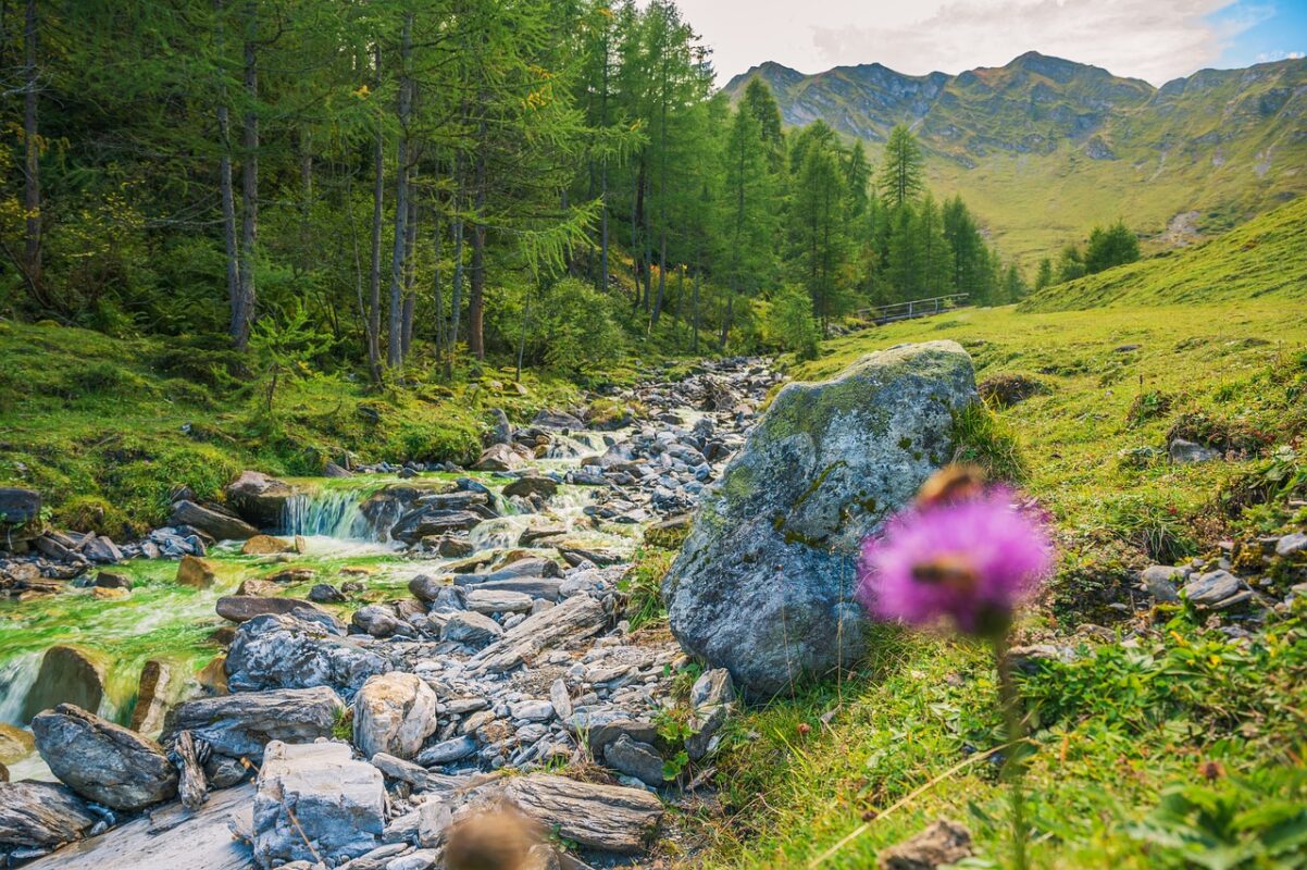 Mayrhofen zu Fuß entdecken – Die besten Touren für Naturliebhaber 1