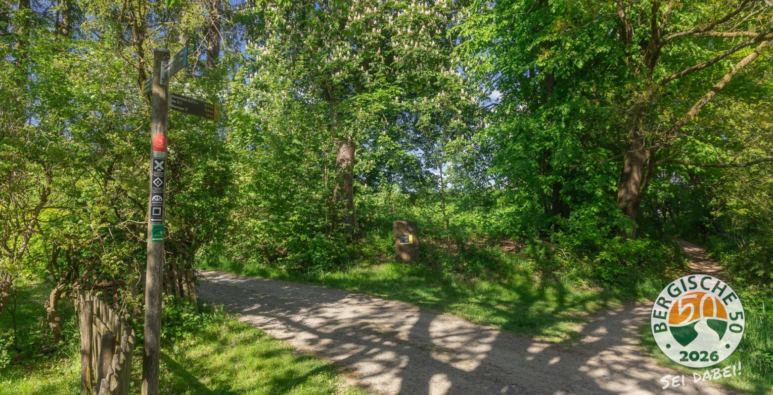 Entlang der Wupper am Bahndamm. Waldreich und schattig.