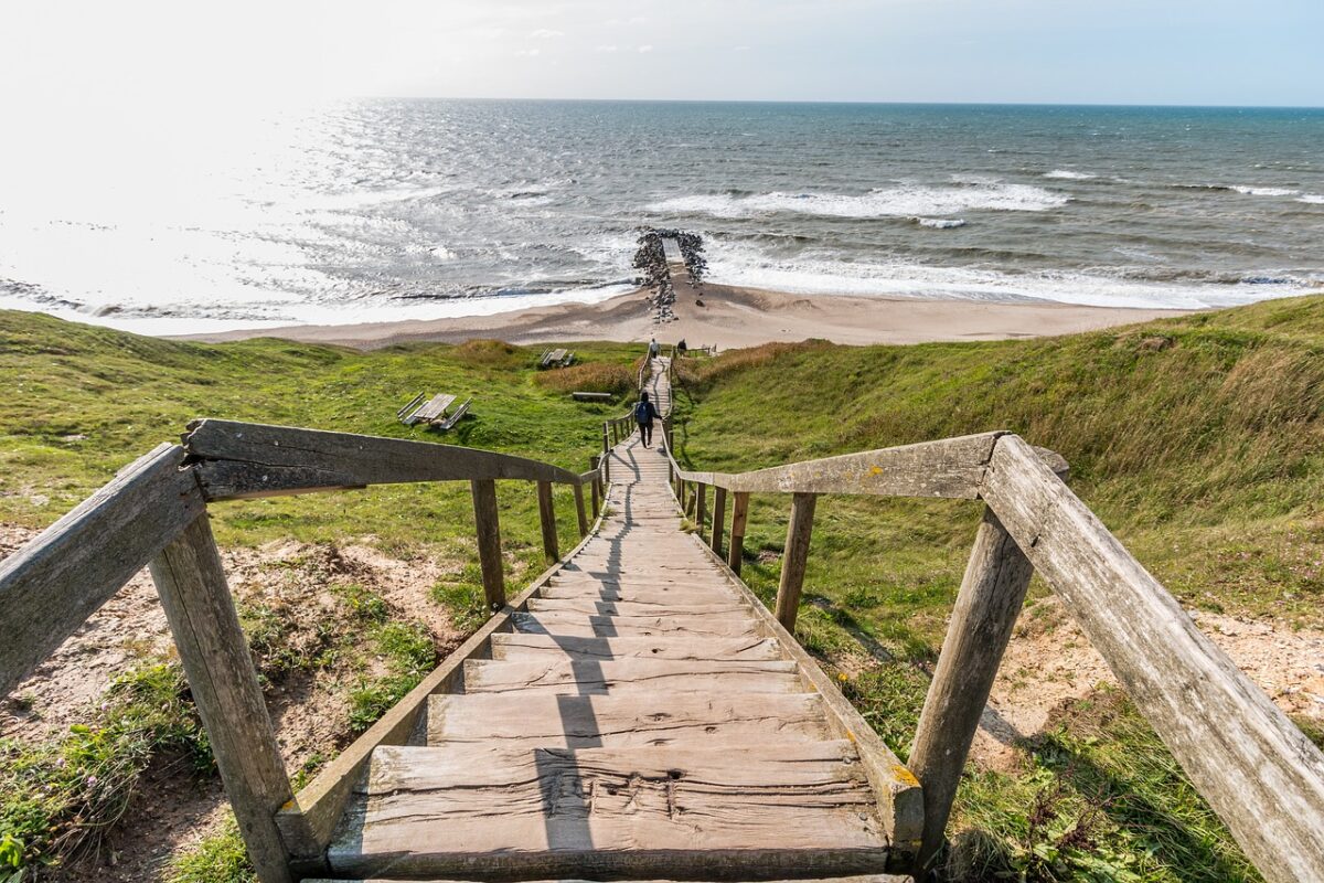 Zwischen Steilküsten und Wäldern: Urlaub in der dänischen Ostseeregion 2 Zwischen Steilküsten und Wäldern: Urlaub in der dänischen Ostseeregion 1
