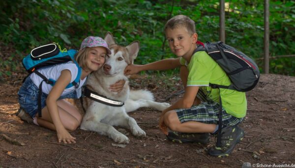 Wandern mit Hund im Sauerland - 