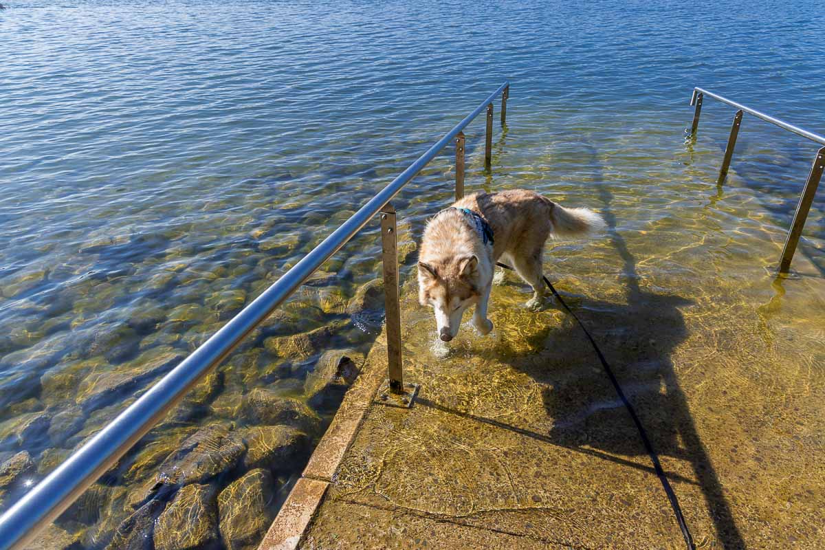 Wipperfürth im Bergischen Land - Reich an Wald und Wasser 9 Auch für das Wandern mit Hund ist die Rampe zur Abkühlung sehr geeignet.
