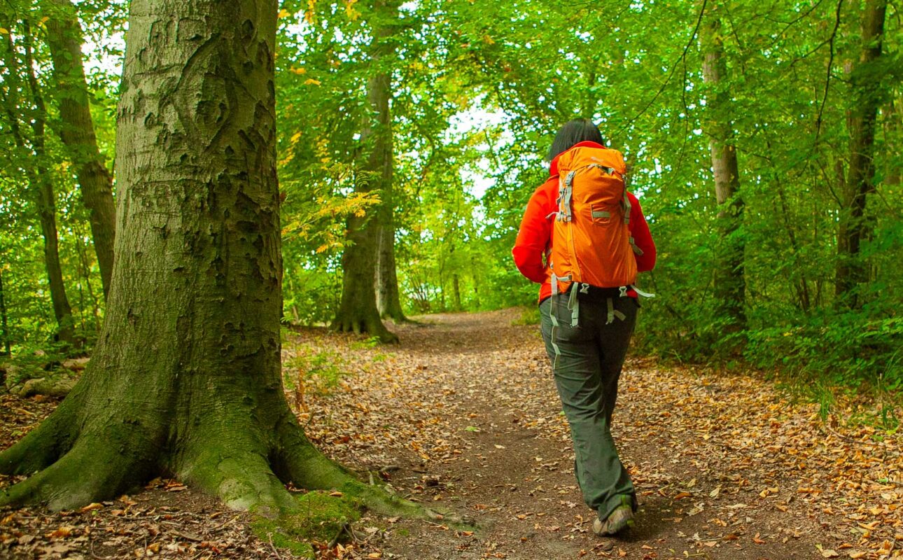 Ruhe statt Rummel: Diese 5 Wanderziele in Deutschland kennt (noch) kaum jemand – perfekt für dein Natur-Timeout 5 Unterwegs auf dem Hochrhöner