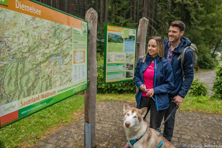 Wandern mit Hund im Sauerland
