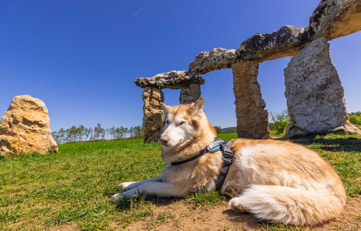 Fränkische Stonehenge mit Hund