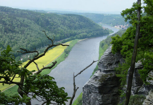 Rundwanderwege in Pirna wie der Canalettoweg
