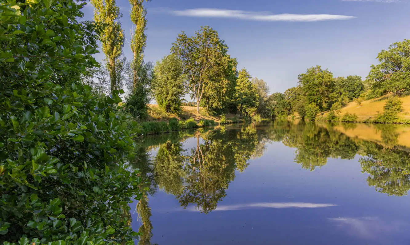 Wandern mit Hund in Franken - Mit Wasser, Schatten und Einkehr 12 Zeubelrieder Weiher