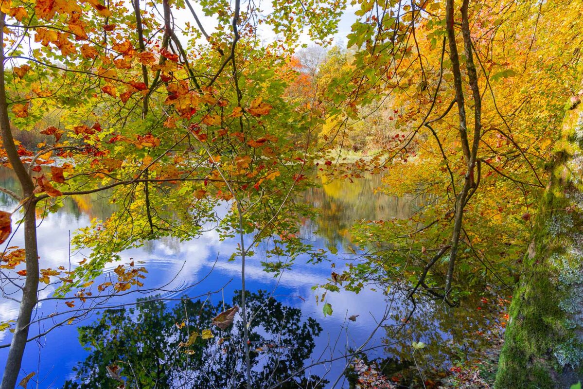 In Hessen erlebst du Laubwälder und Wasser auf deinen Touren