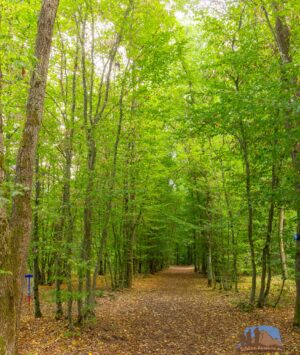 Brauereien und Bunkeranlagen - Wanderung in Breitengrüßbach 19 Brauereien und Bunkeranlagen - Wanderung in Breitengrüßbach 10