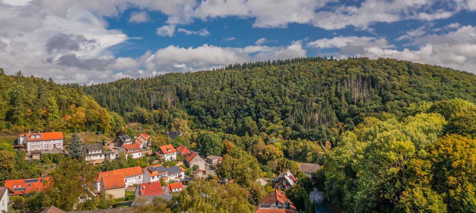 Lichtenfelser Panoramaweg - Schöne Aussichten und Laubwälder