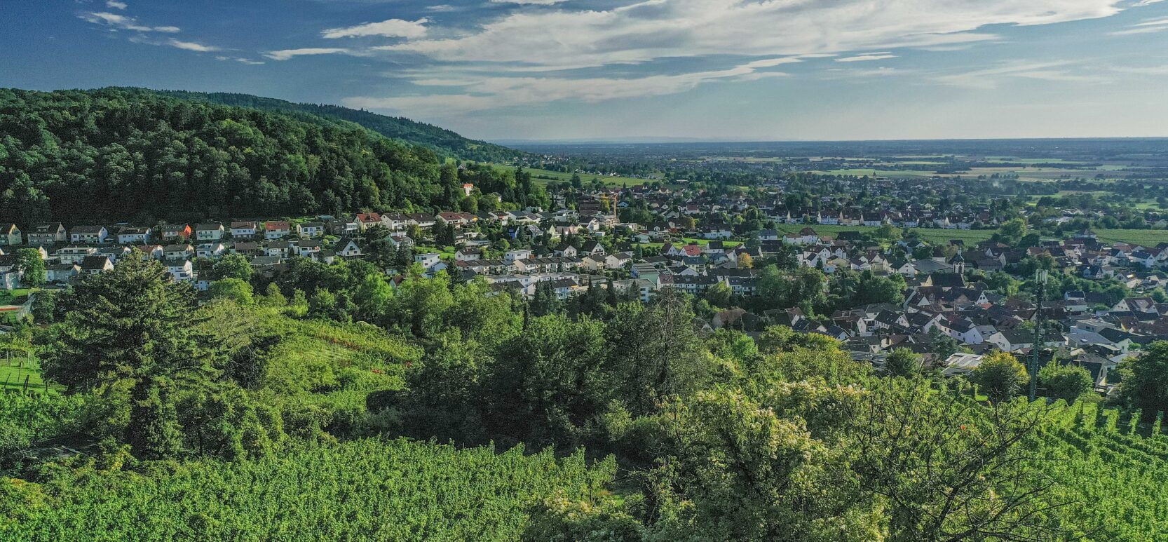 Odenwald50 - Ein stadtlicher Landschaftslauf 25