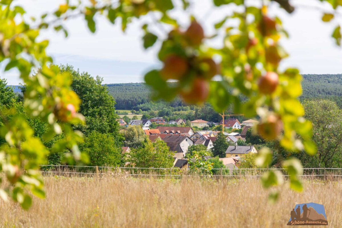 5 schöne Radtouren im Bamberger Land 5 Bamberger Land