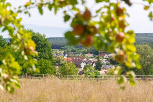 Radwege in Oberfranken - Erlebt Land und Leute auf dem Rad 6 Immer wieder schöne Aussichten auf die Wasserlandschaft im Landkreis Bamberg