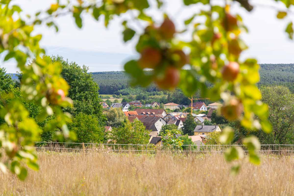 Wandern mit Hund in Franken - Mit Wasser, Schatten und Einkehr 32 Immer wieder schöne Aussichten auf die Wasserlandschaft im Landkreis Bamberg