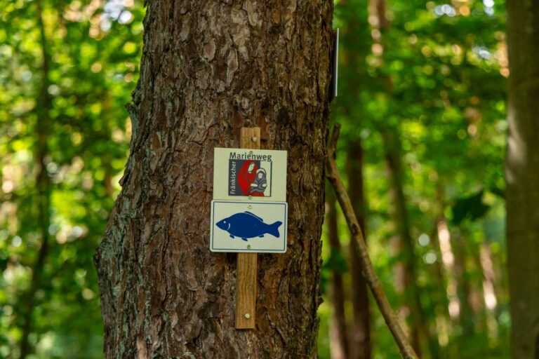 Der Karpfenweg bei Hirschaid in Oberfranken