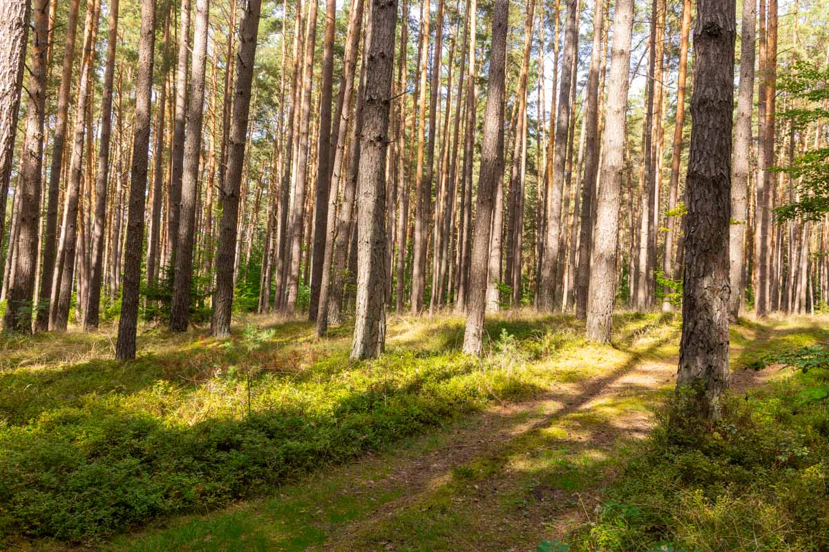 Bierwanderwege in Franken - Erlebt Natur und Braukunst 22 Bierquellen-Wanderweg Hummeltal