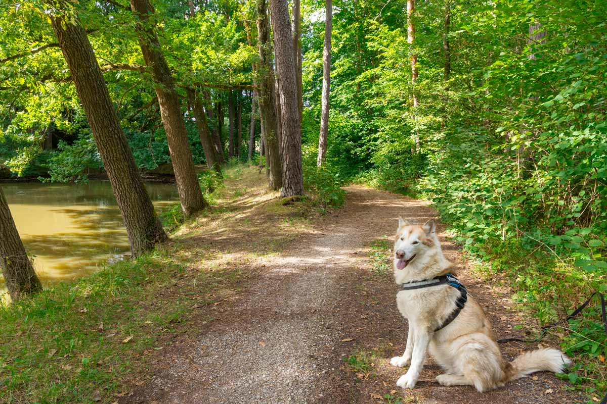 Bierwanderwege in Franken - Erlebt Natur und Braukunst 3 Bierwanderwege in Franken mit Hund